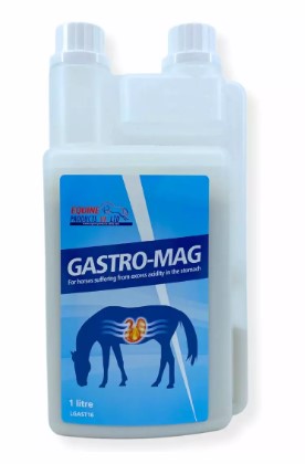 Gastro Mag