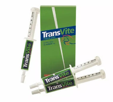 TransVite