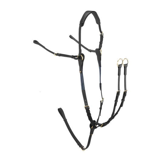 Bruno Delgrange Vorderzeug