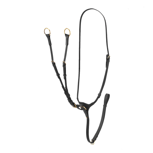 Bruno Delgrange Martingal