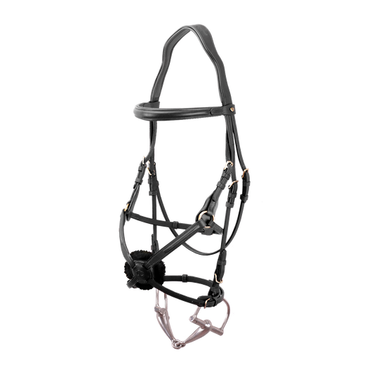 Bruno Delgrange Zaum mexikanisch