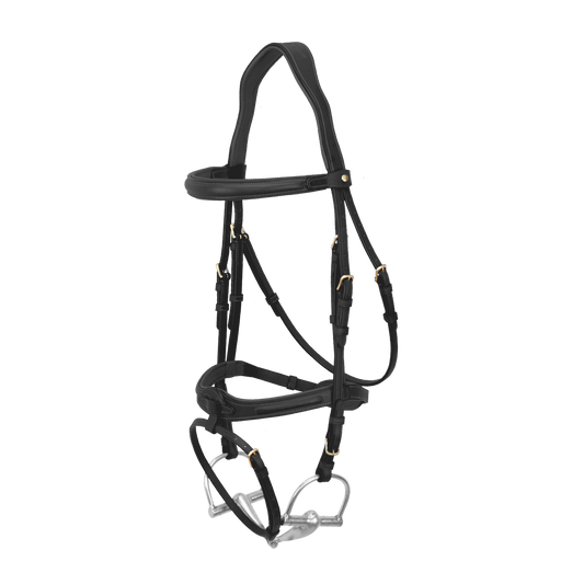 Bruno Delgrange Zaum mit Nasenriemen