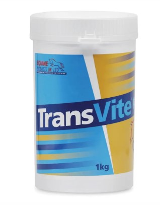 TransVite Gut Balancer